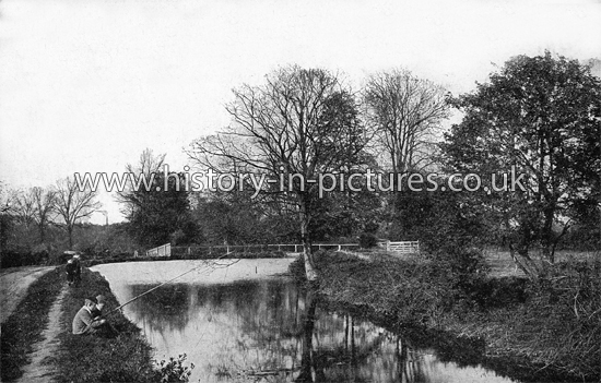 Fishing on the river at Lexden Springs, Essex. c.1918
